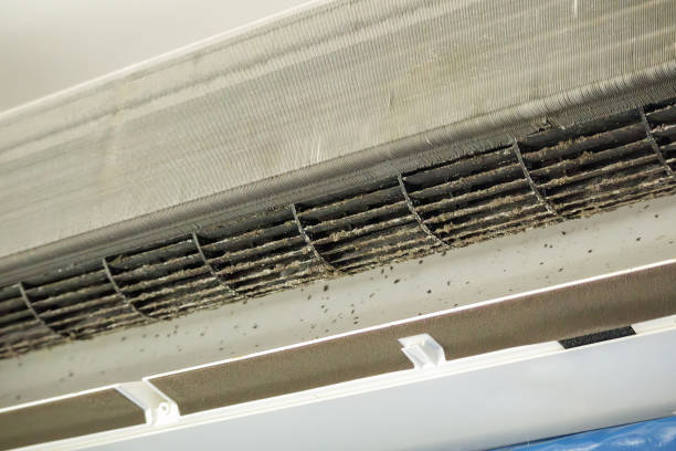 Best Professional Duct Cleaning Services  in Fort Stewart, GA